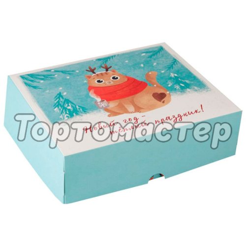 Коробка для сладостей "Зимний котик" 20х17х6 см 7043567